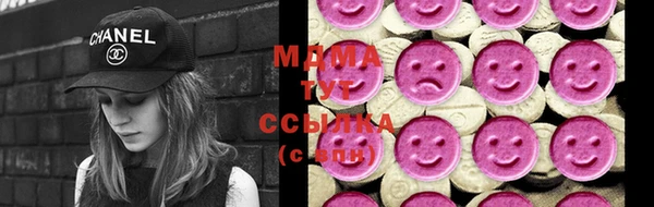бошки Инта