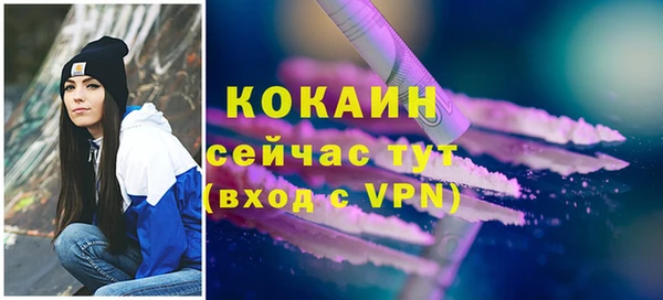 бошки Инта