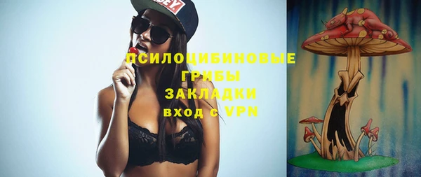 бошки Инта