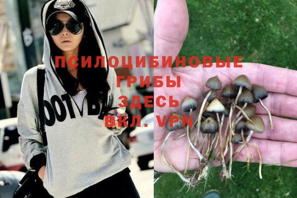 марки nbome Инсар