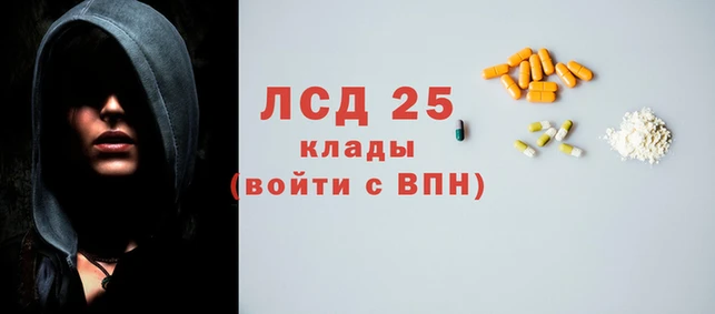 бошки Инта