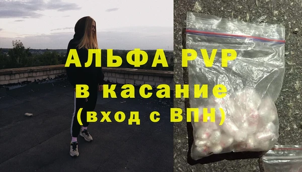 бошки Инта