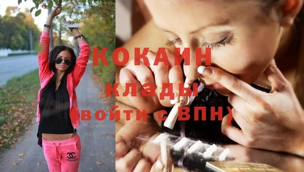 бошки Инта