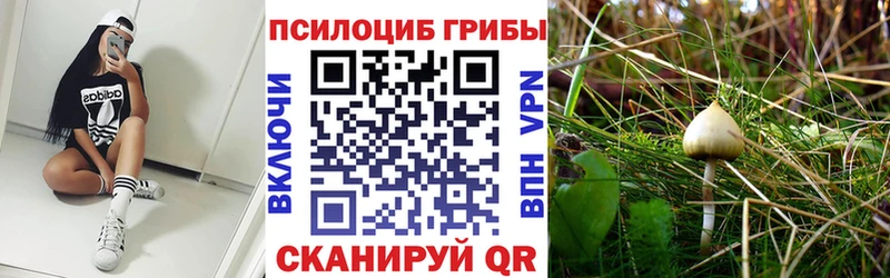 Купить  Лукоянов  Псилоцибиновые грибы MAGIC MUSHROOMS 